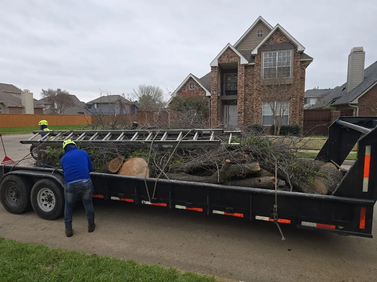 Expert Crown Reduction with proper safety equipment in Elk Rapids